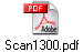 Scan1300.pdf