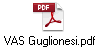 VAS Guglionesi.pdf