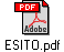 ESITO.pdf