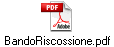 BandoRiscossione.pdf