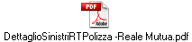 DettaglioSinistriRTPolizza -Reale Mutua.pdf