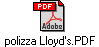 polizza Lloyd's.PDF
