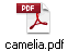 camelia.pdf