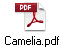 Camelia.pdf