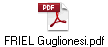 FRIEL Guglionesi.pdf