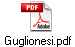 Guglionesi.pdf