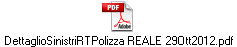 DettaglioSinistriRTPolizza REALE 29Ott2012.pdf