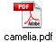 camelia.pdf