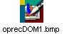 oprecDOM1.bmp