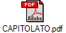 CAPITOLATO.pdf